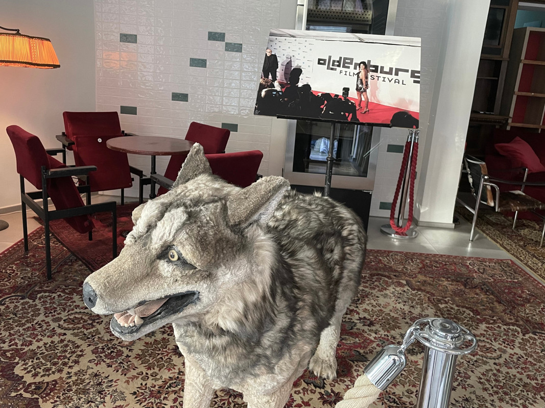 Filmfest geht mit neuen Partnern an den Start 